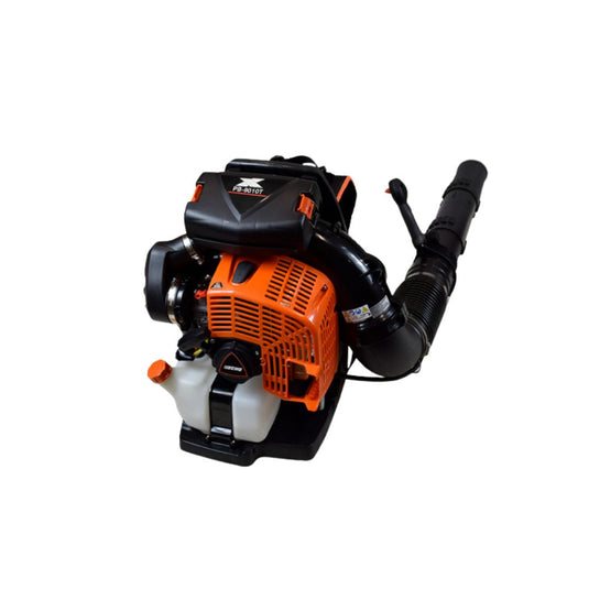 souffleur-a-feuille-a-dos